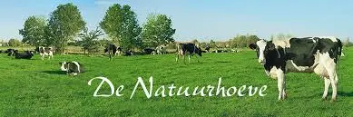 Karnedrink framboos 1l