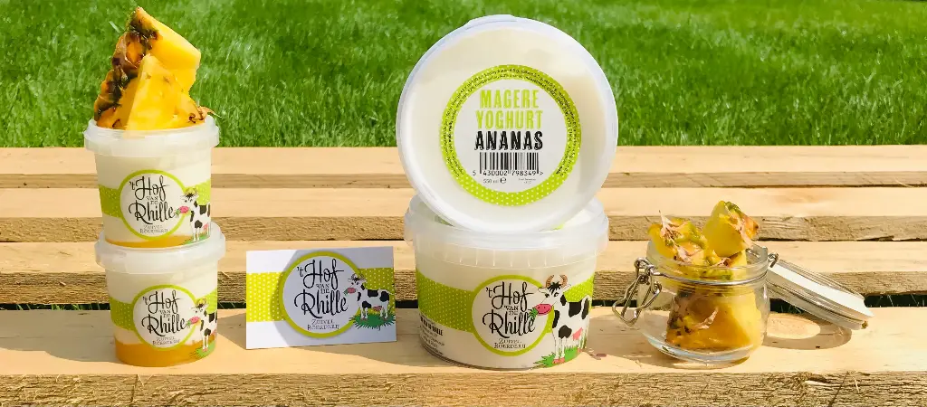 Yoghurt mager ananas 155ml
