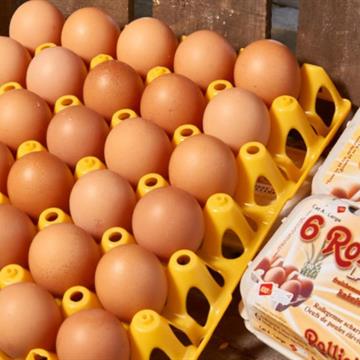 Eieren Los 180stuks Xlarge