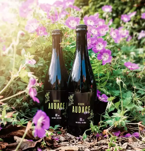 Audace 36.5cl Alcohol Vrij